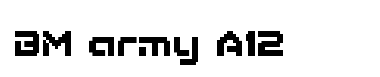 BM army