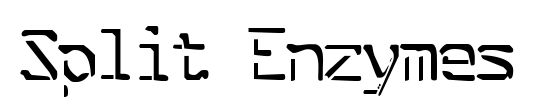Split Enzymes