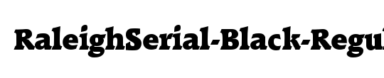 RaleighSerial-Black