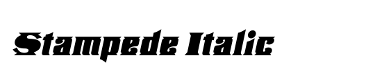 Stampede Italic