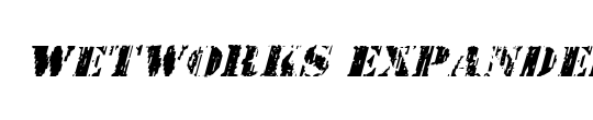 Wetworks Expanded Italic