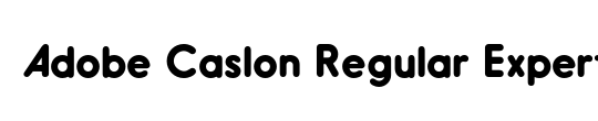 ACaslonExp Regular