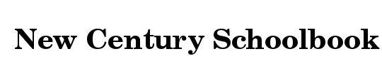 New Century Schlbk CE