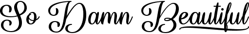 So Damn Beautiful