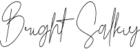 Bright Salkiy