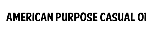 American Purpose STRIPE 1
