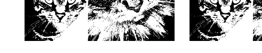CatBats