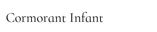 Plantin Infant MT Std