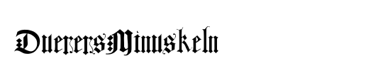 DuerersMinuskeln