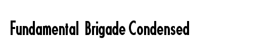 Fundamental  Brigade Condensed