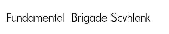 Fundamental  Brigade Condensed