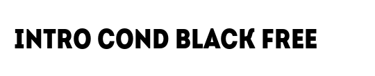 Intro Black Italic