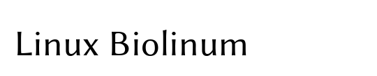 Linux Biolinum Slanted