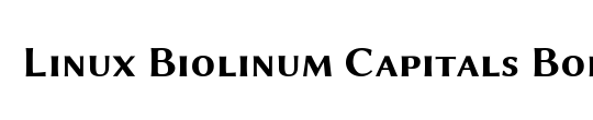 Linux Biolinum Slanted