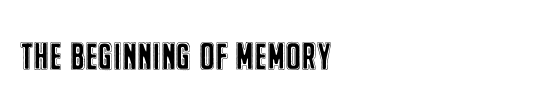 Memory Lapses