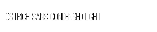 Ostrich Sans Light