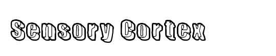 Cortex SSi