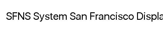 SFNS System San Francisco Display