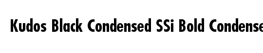 Kudos Condensed SSi