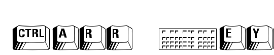 Carr Electronic Dingbats