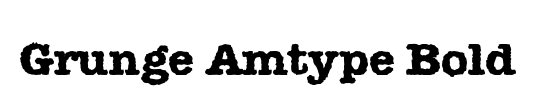 Grunge Amtype Bold