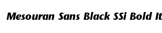 Mesouran Serif Black SSi