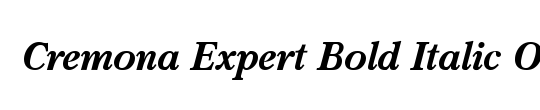 OctavianMT Expert