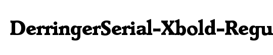 DerringerSerial-Medium