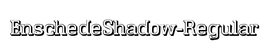 EnschedeShadow