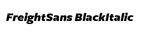 RelayCond-BlackItalic