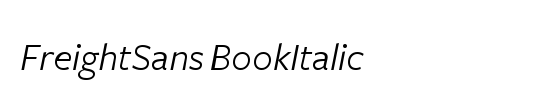 PanacheEF-BookItalic