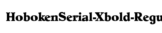 ClearfaceSerial-Xbold