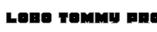 Lobo Tommy Gradient Italic