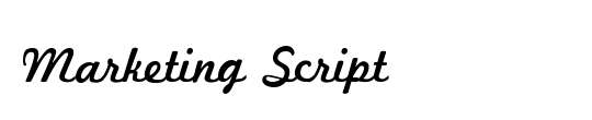 Marketing Script Inline