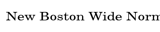 New Boston Condensed