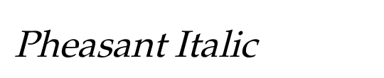 Pheasant-Thin-Italic