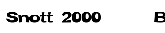 Snott 2000