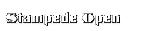 Stampede Open Italic
