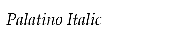 Palatino-Thin-Italic