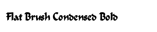 Flat Brush Condensed