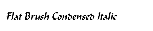 Flat Brush Condensed