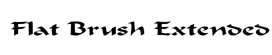 Flat Brush Condensed