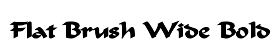 Flat Brush Wide