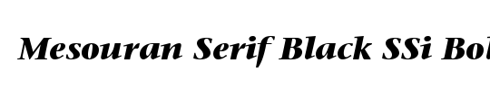 Mesouran Serif Black SSi