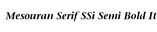 Mesouran Serif Black SSi