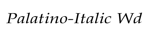 Palatino-Italic Wd