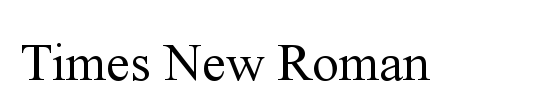 Times New Roman PS