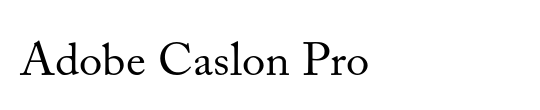 ACaslon SwashItalic