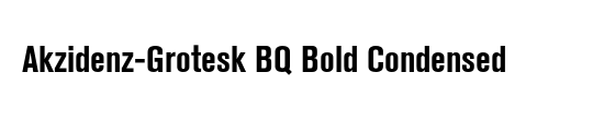 DigiGrotesk LT BoldCondensed