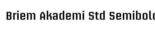 Briem Akademi Std